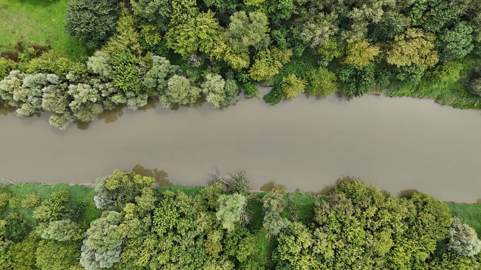 DJI_20250803130040_0315_D